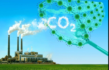 chiêu sinh lớp bồi dưỡng kiến thức về xây dựng và giao dịch dự án tín chỉ Carbon