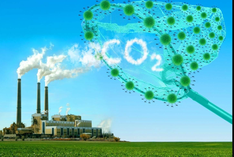 chiêu sinh lớp bồi dưỡng kiến thức về xây dựng và giao dịch dự án tín chỉ Carbon
